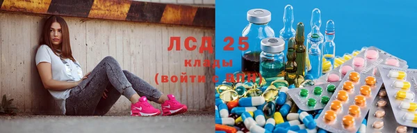 бошки Бикин