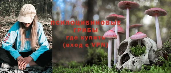 стаф Болотное