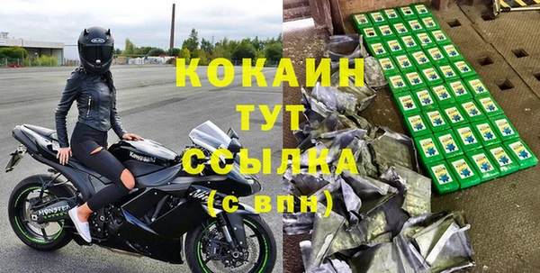 jwh Пересвет