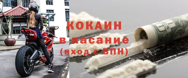 сатива Билибино