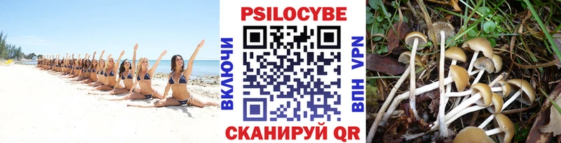 Псилоцибиновые грибы Cubensis  Разумное 